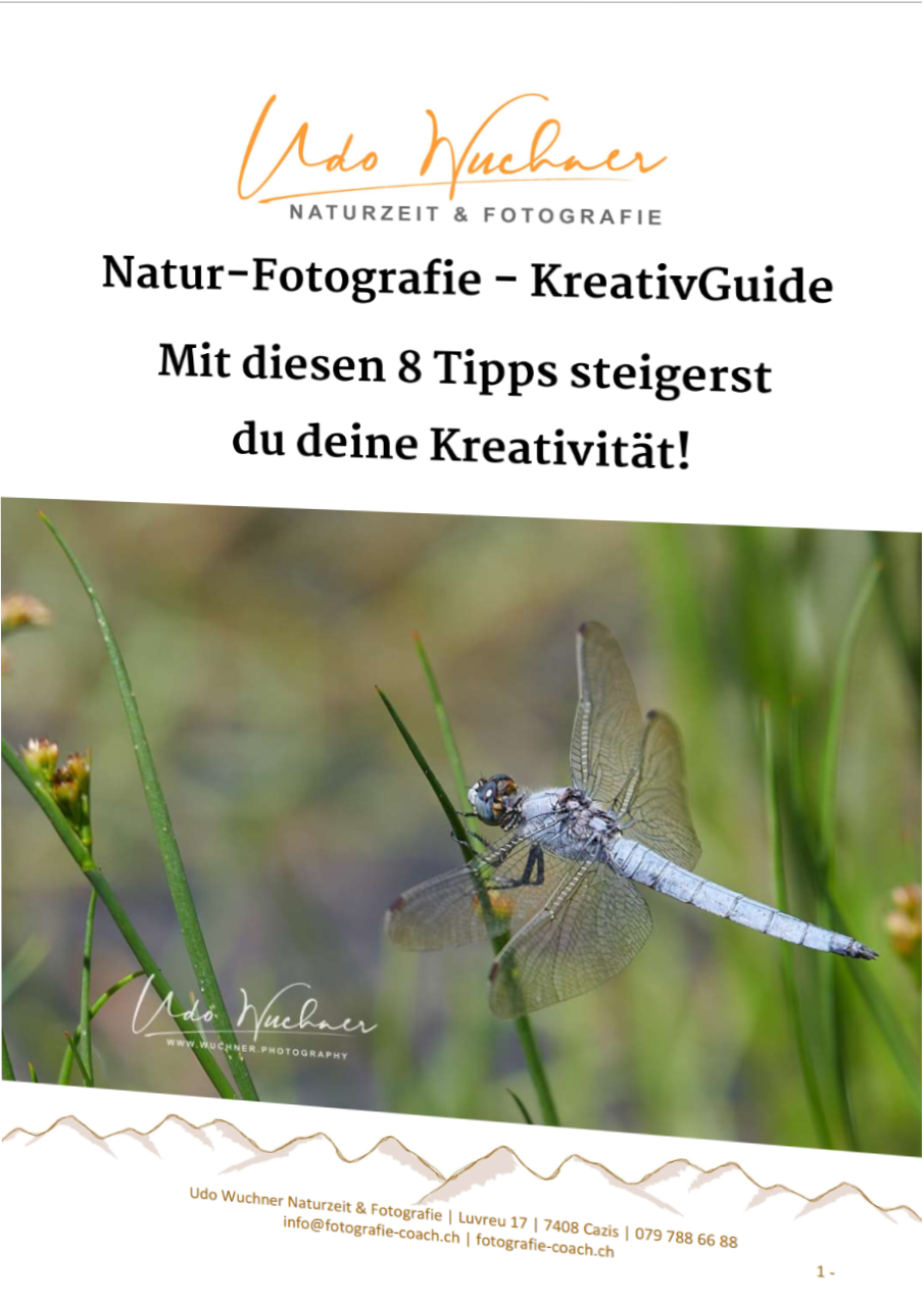 Kreativguide als Buch